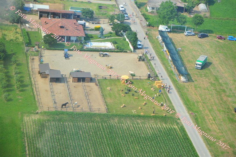 DSC_1119.JPG